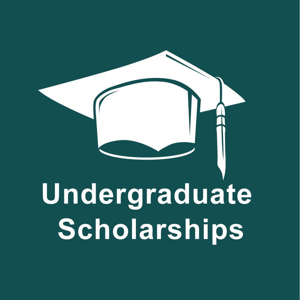 Undergraduate Scholarships